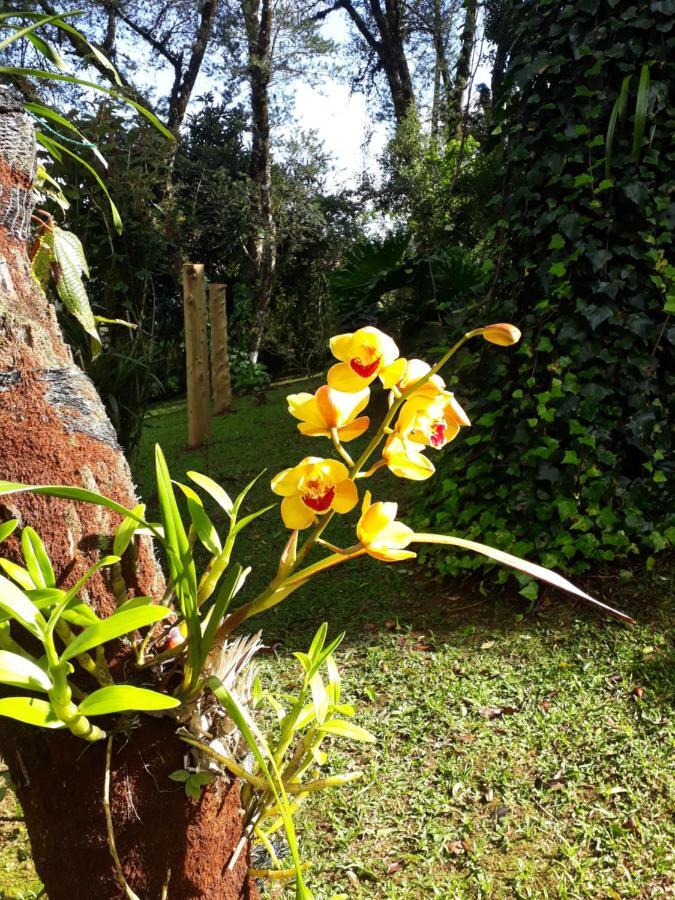 Casa Da Sol Monte Verde (Minas Gerais) Exterior foto